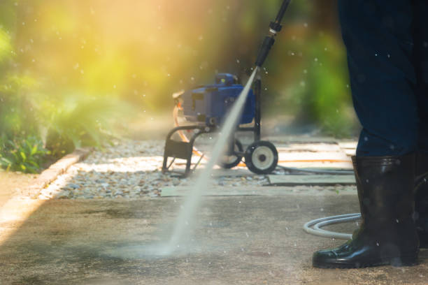 Best Roof Cleaning and Mildew Removal in Caddo Mills, TX